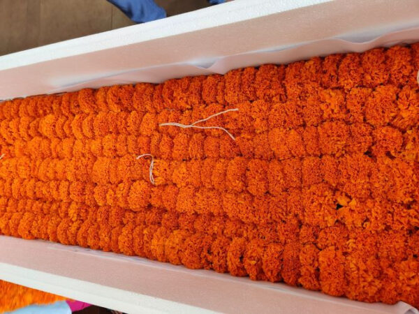 MARIGOLD GARLAND MGG 003