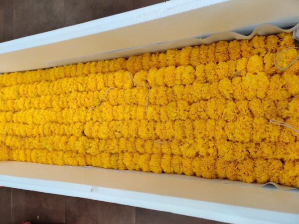MARIGOLD GARLAND MGG 004