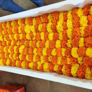 MARIGOLD GARLAND MGG 005