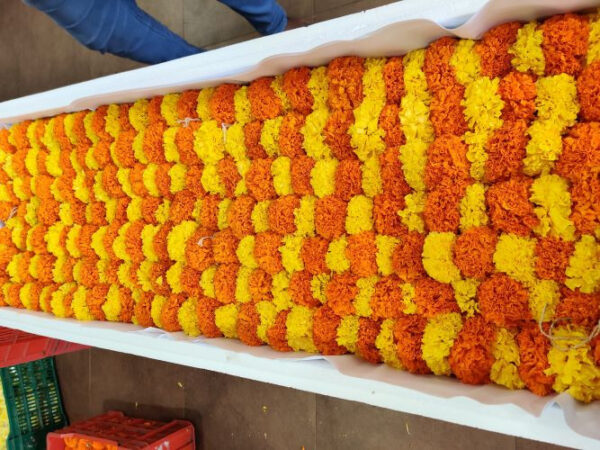 MARIGOLD GARLAND MGG 005