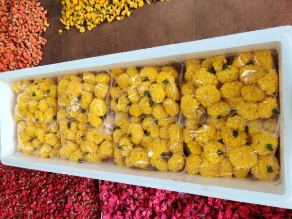 MARIGOLD GARLAND MGG 007